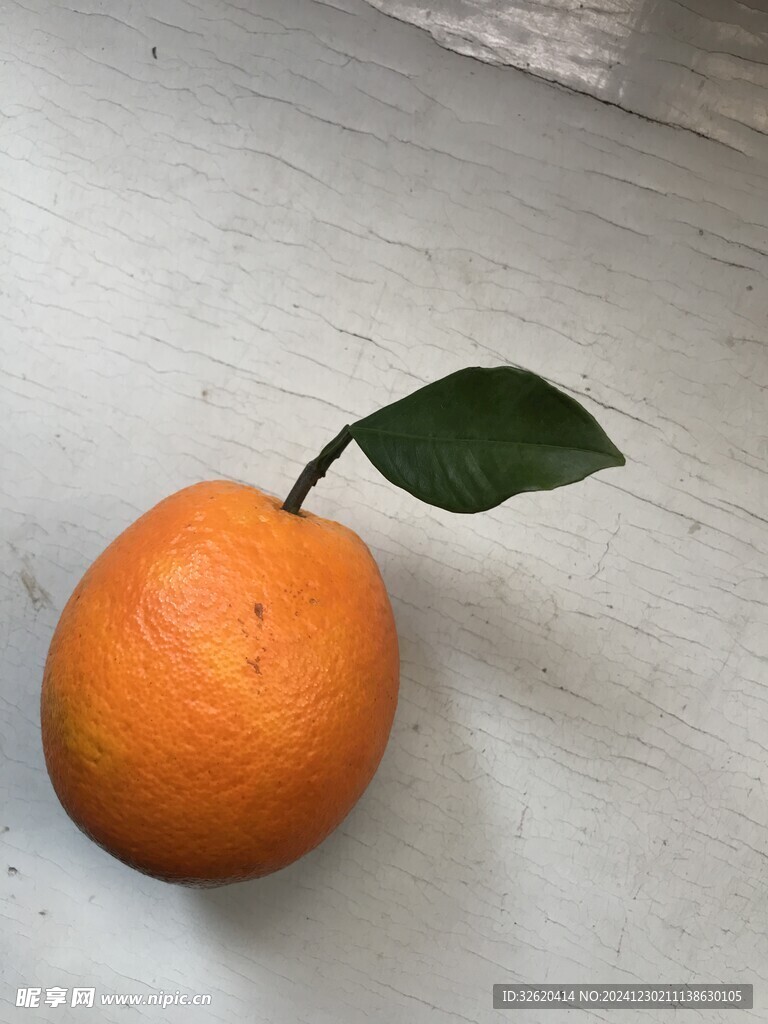 橙子 脐橙
