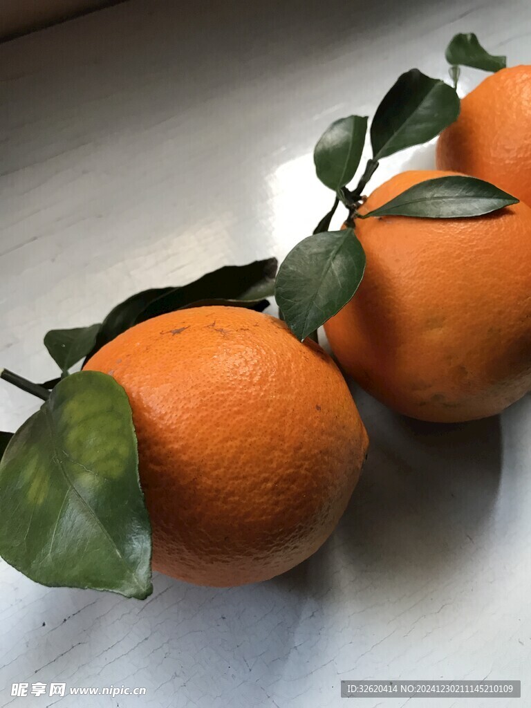 橙子 脐橙
