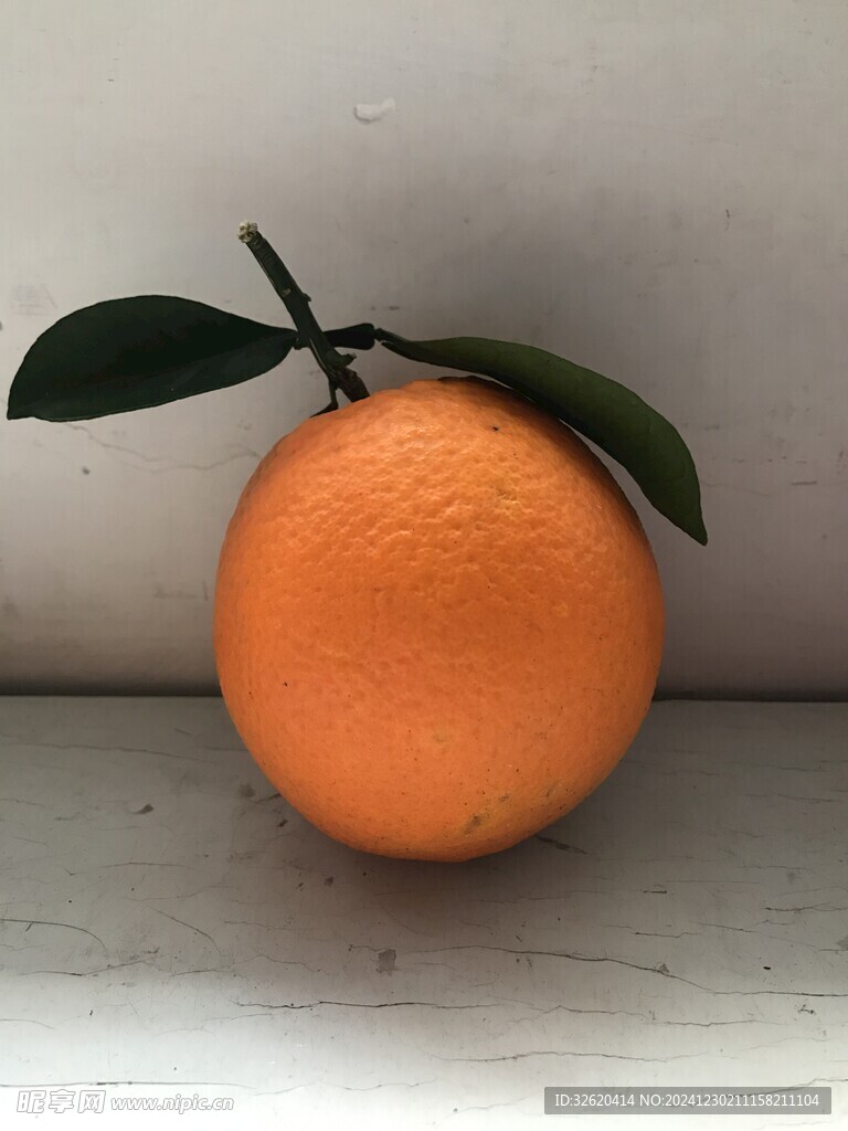 橙子 脐橙 