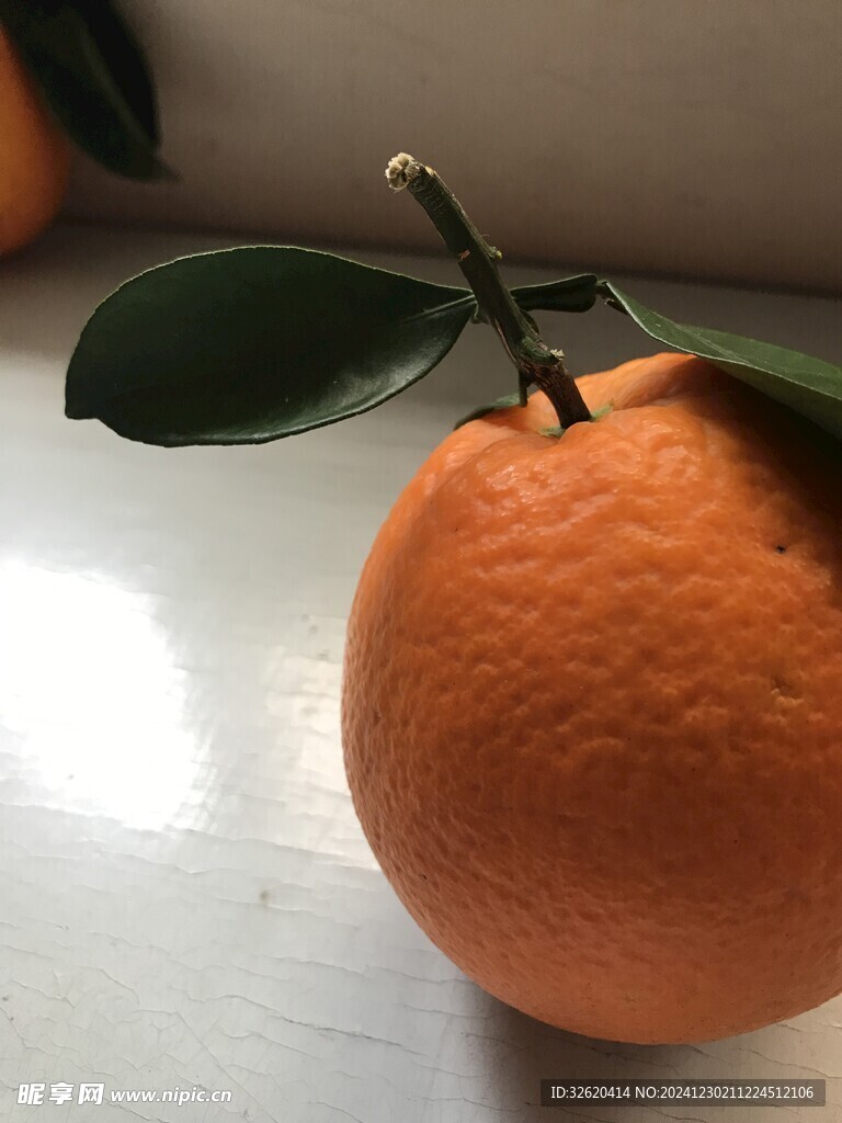 橙子 脐橙 