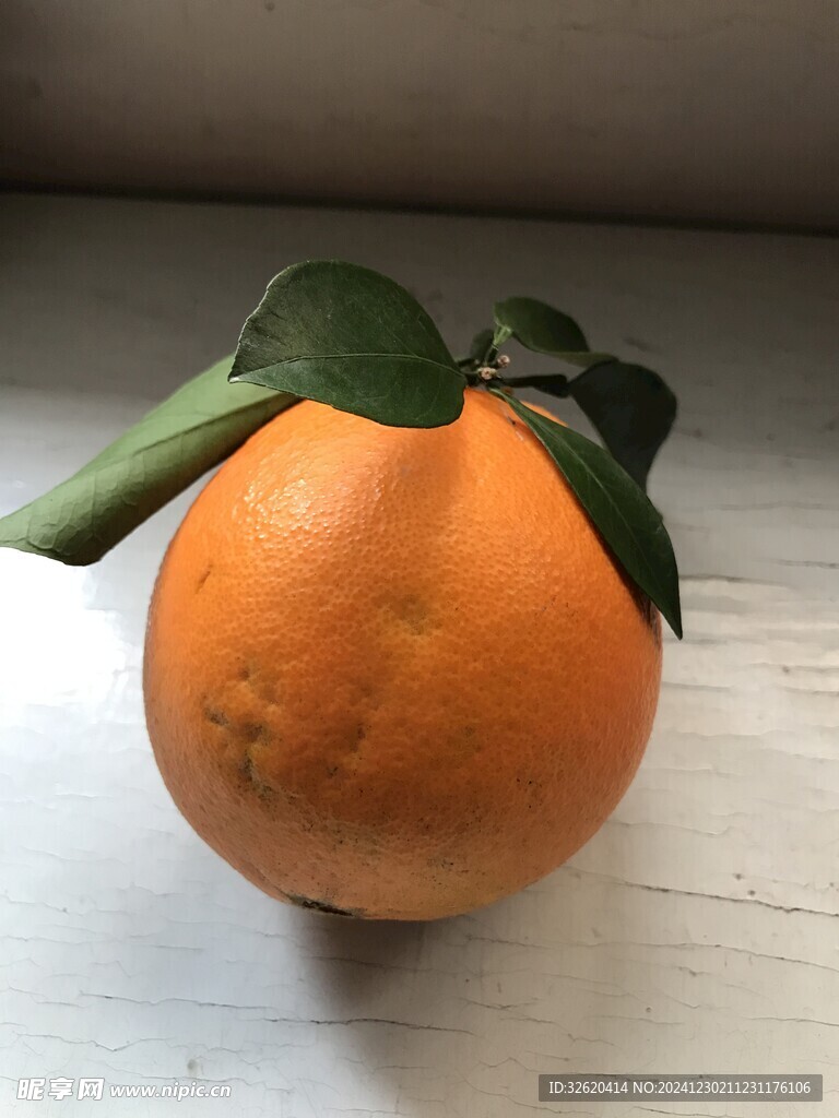橙子 脐橙 