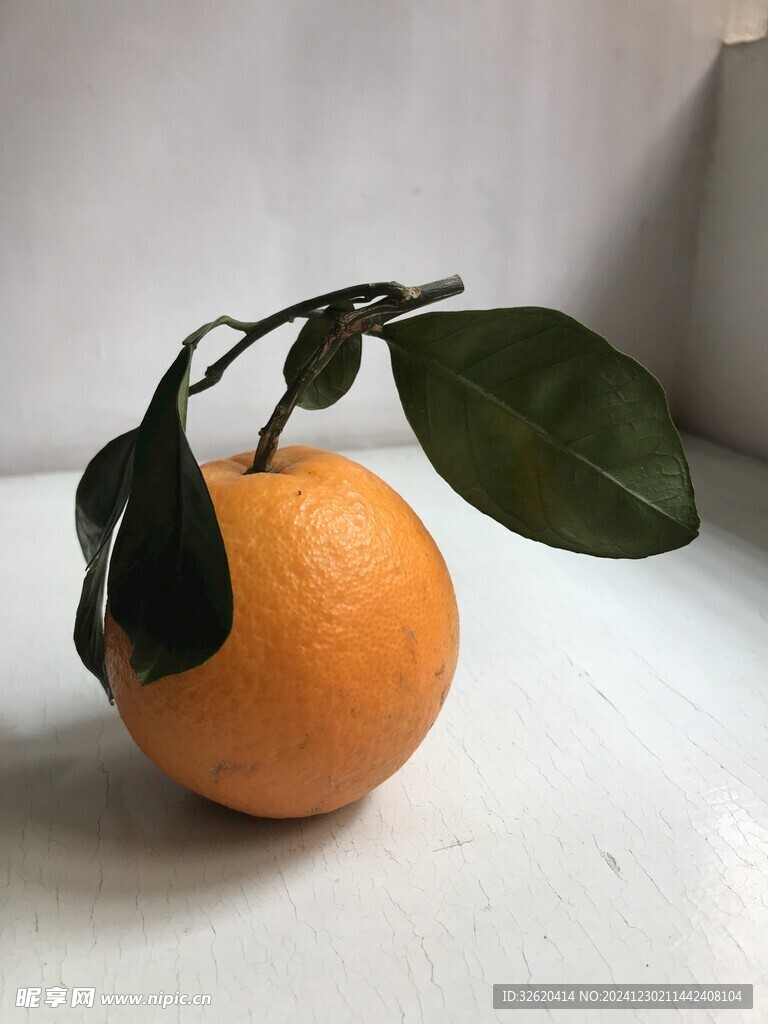 橙子 脐橙 