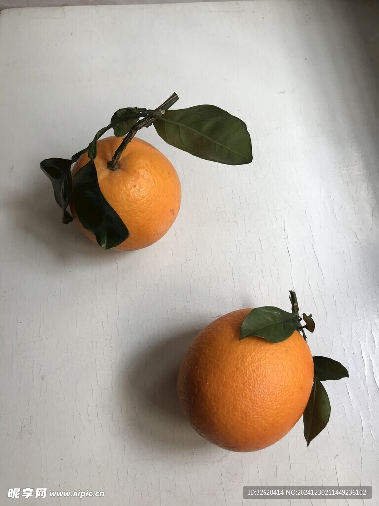 橙子 脐橙 