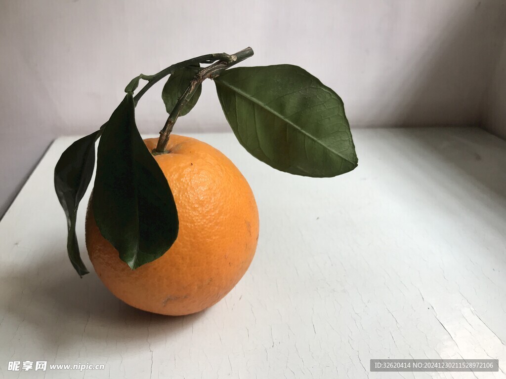 橙子 脐橙 