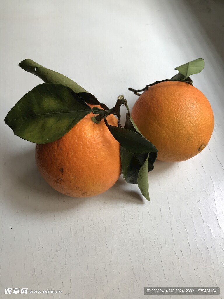 橙子 脐橙 