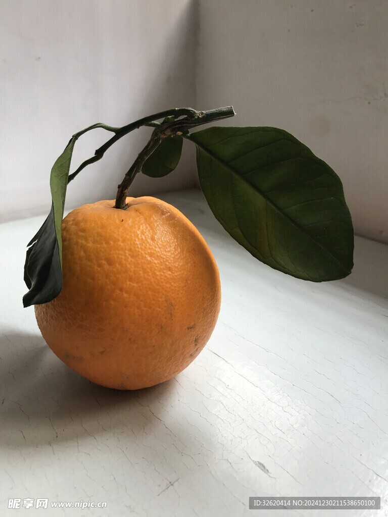 橙子 脐橙 