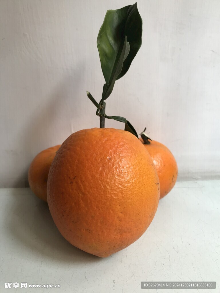 橙子 脐橙 