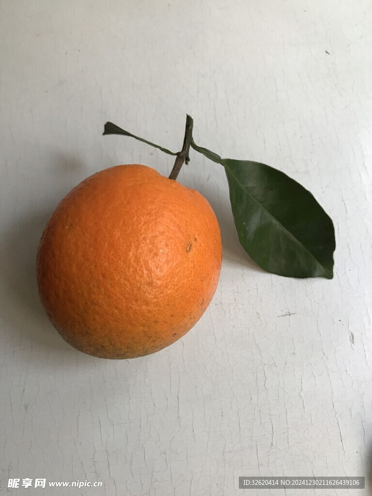 橙子 脐橙 