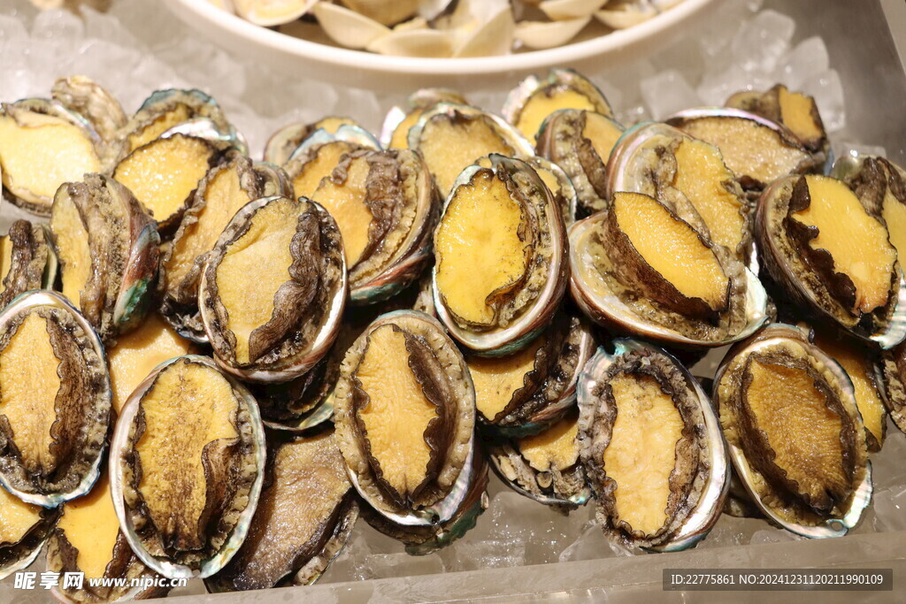 西式自助餐美食鲜鲍鱼