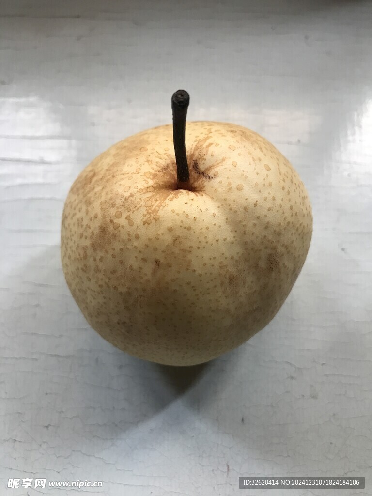 雪梨