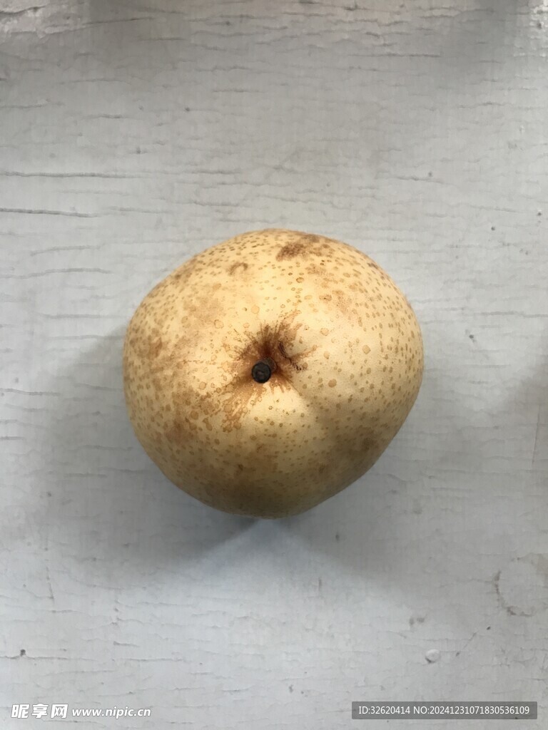 雪梨