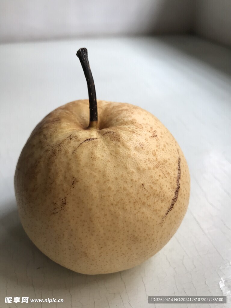 雪梨