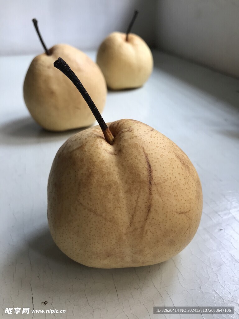 雪梨