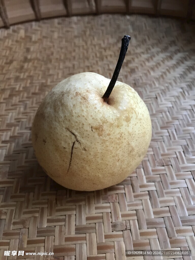 雪梨