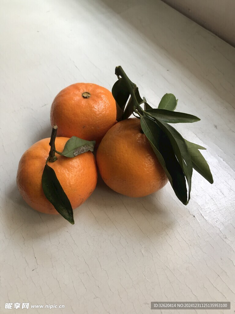 桔子 橘子