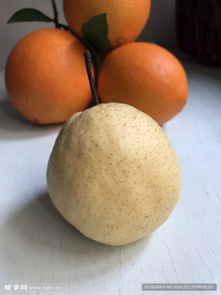 雪梨