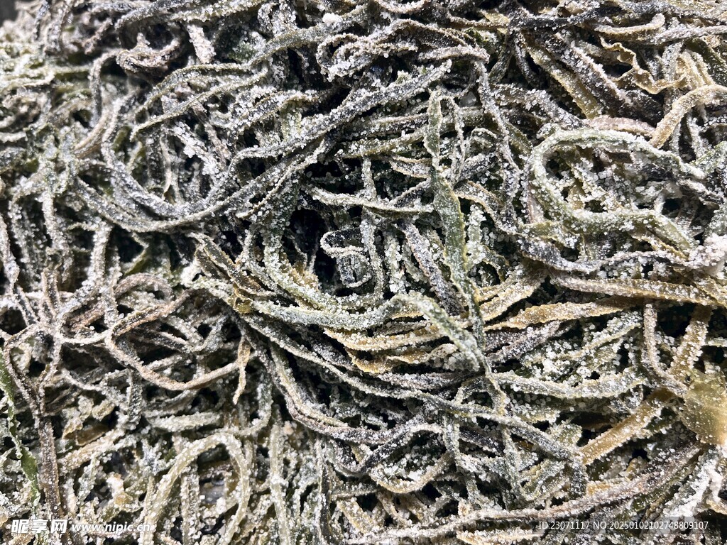 海带丝