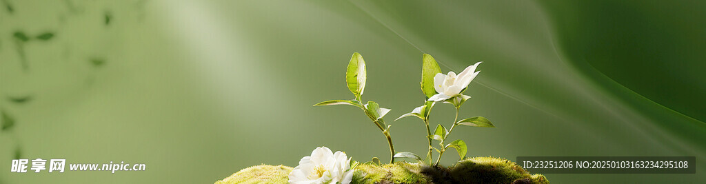 轮播图海报背景4