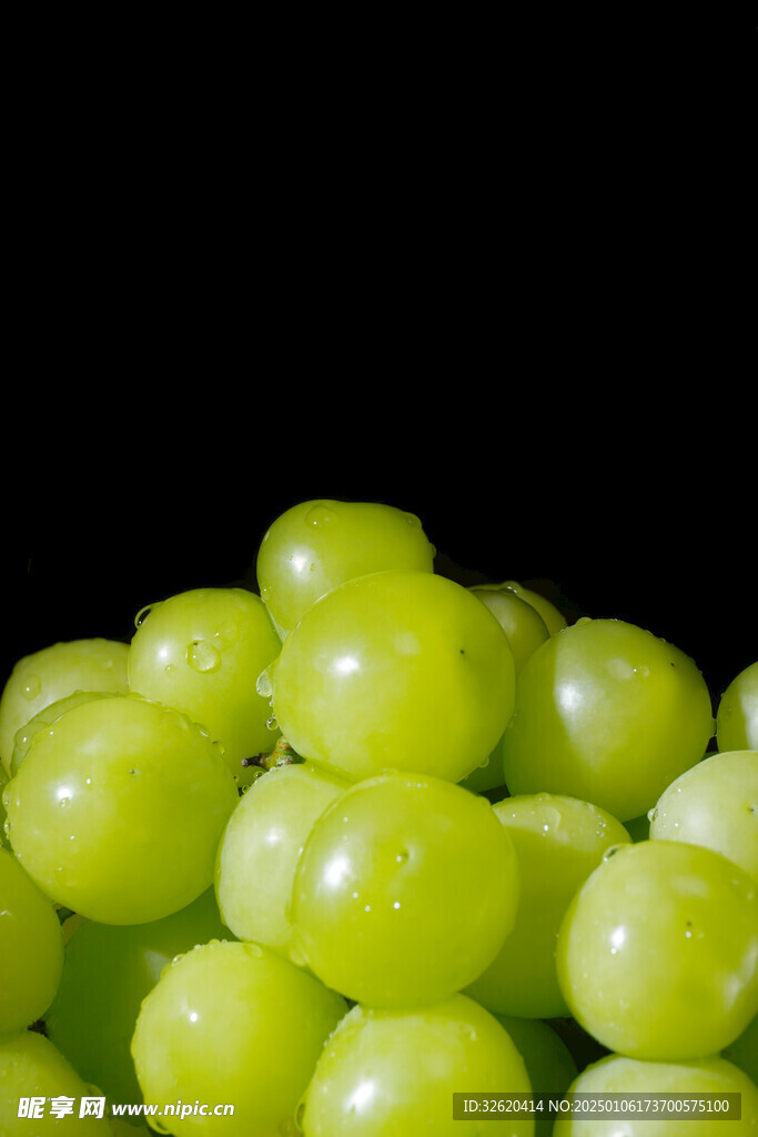 青提 葡萄 