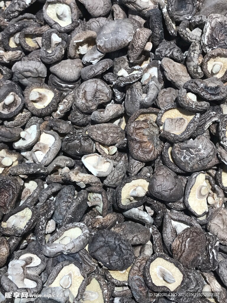 干香菇