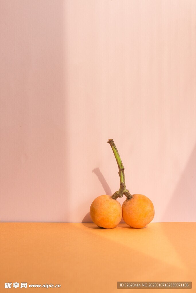 枇杷