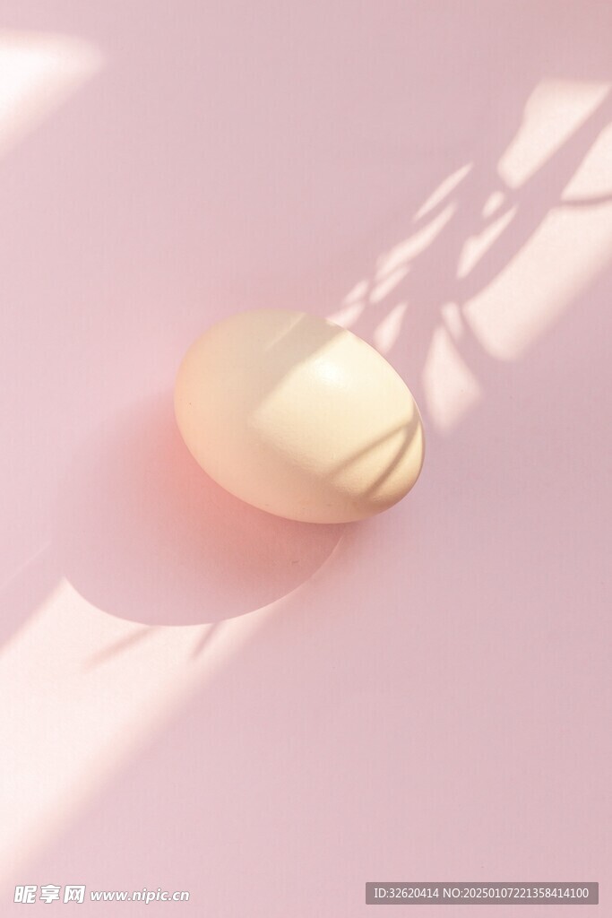 鸡蛋