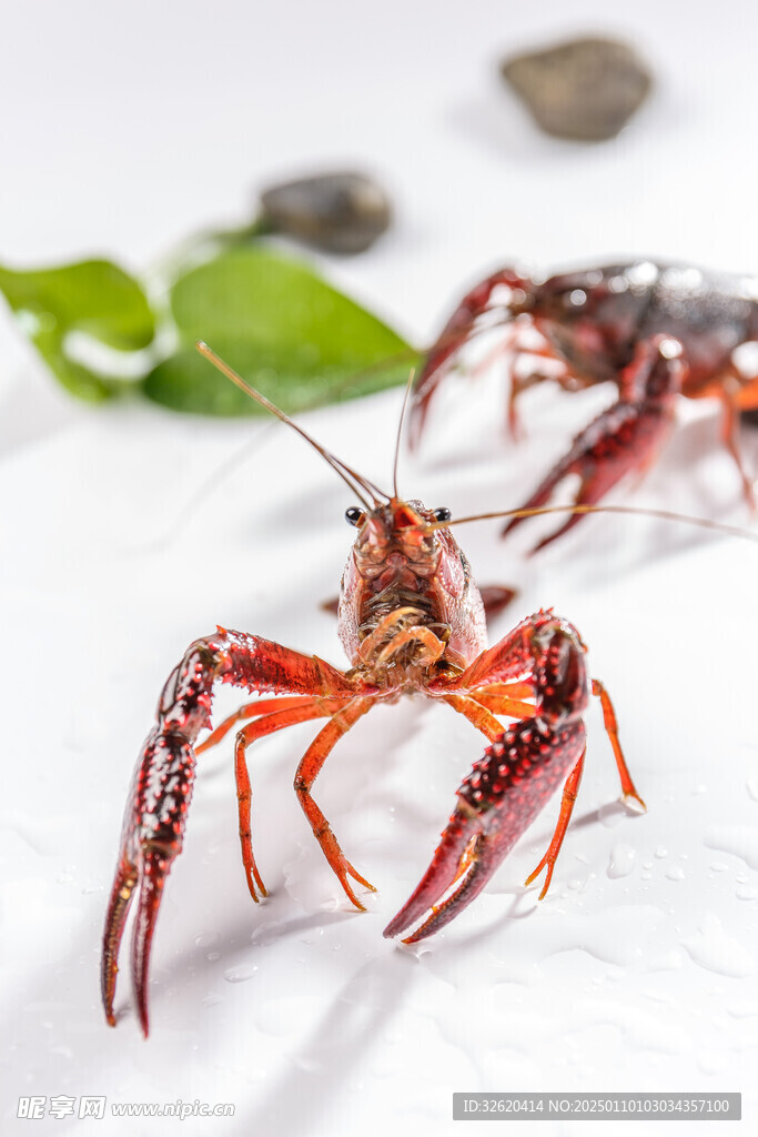 小龙虾
