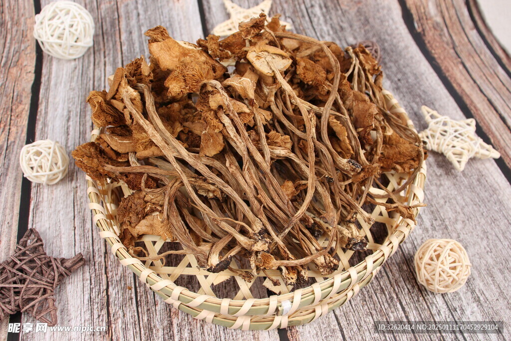 茶树菇