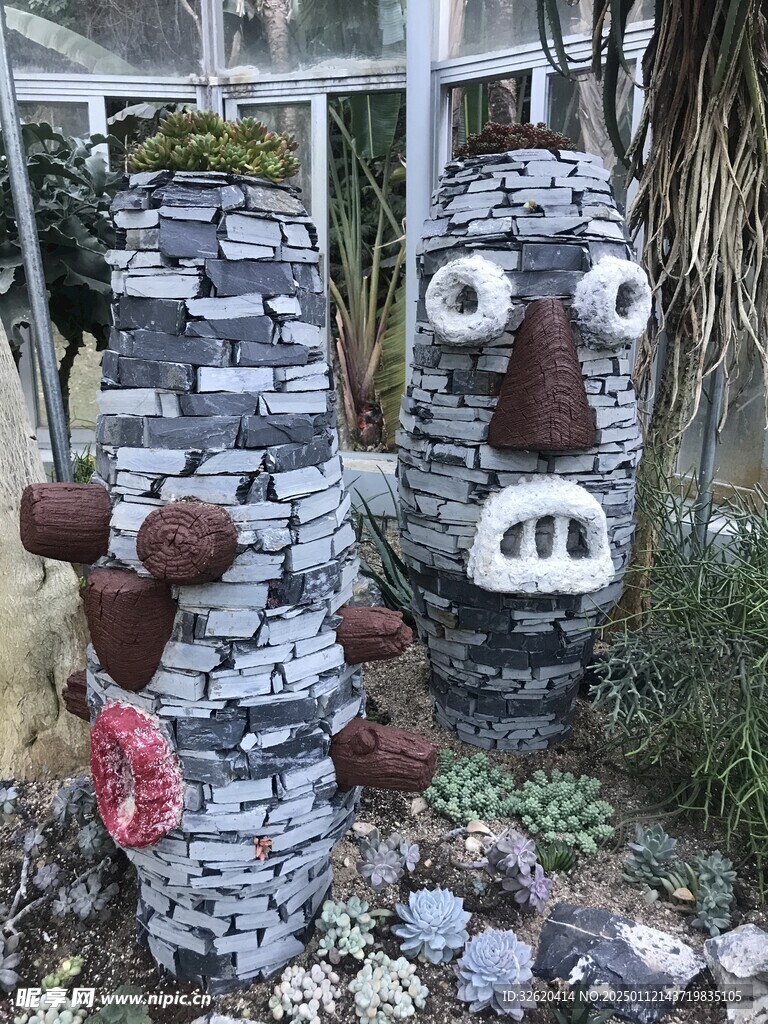 多肉