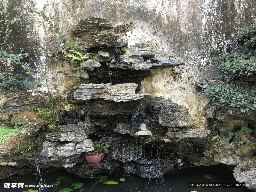 盆栽 盆景