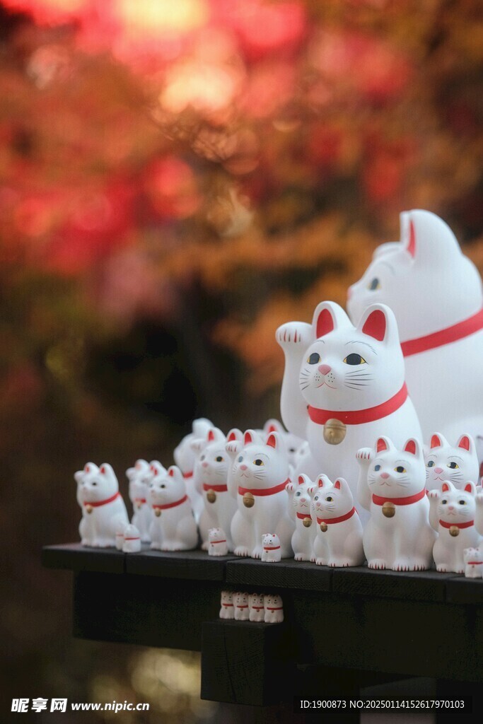 招财猫