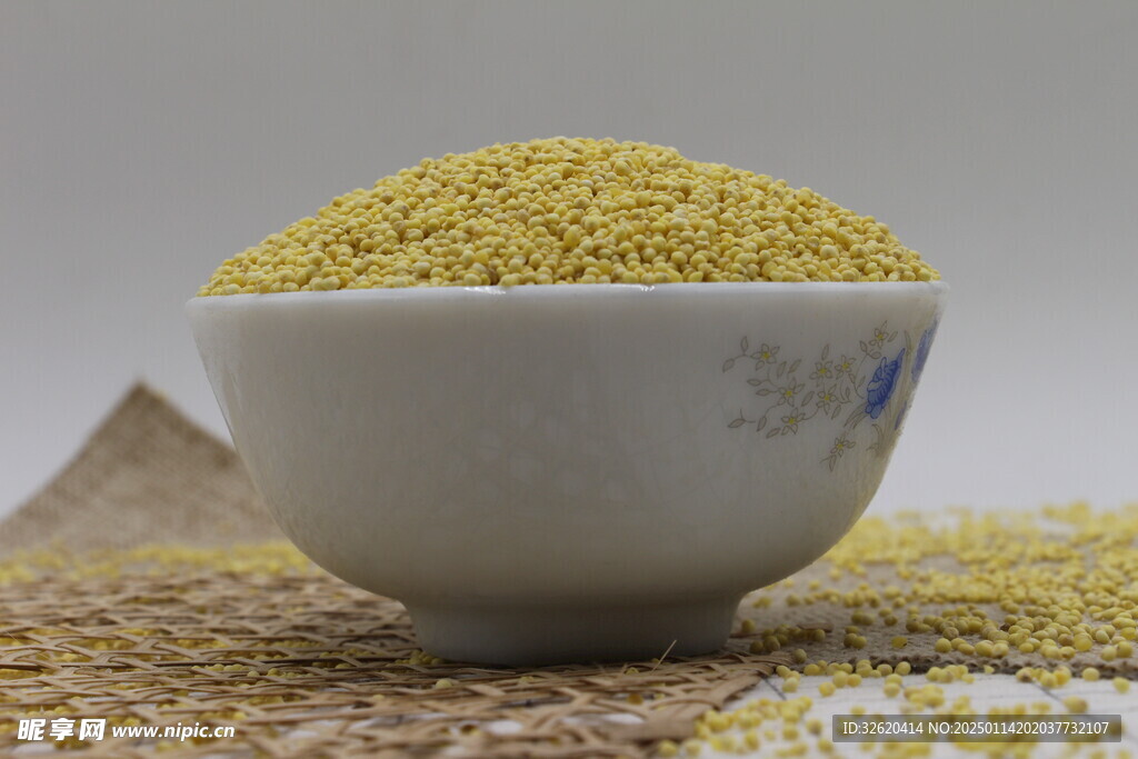 大黄米 