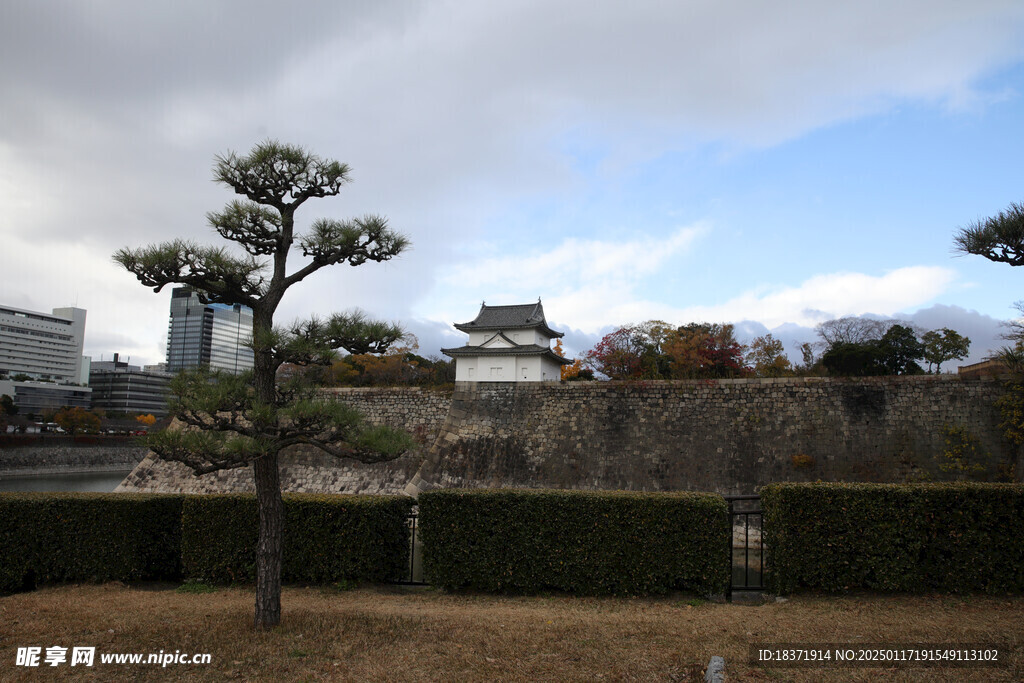 日本大阪城公园