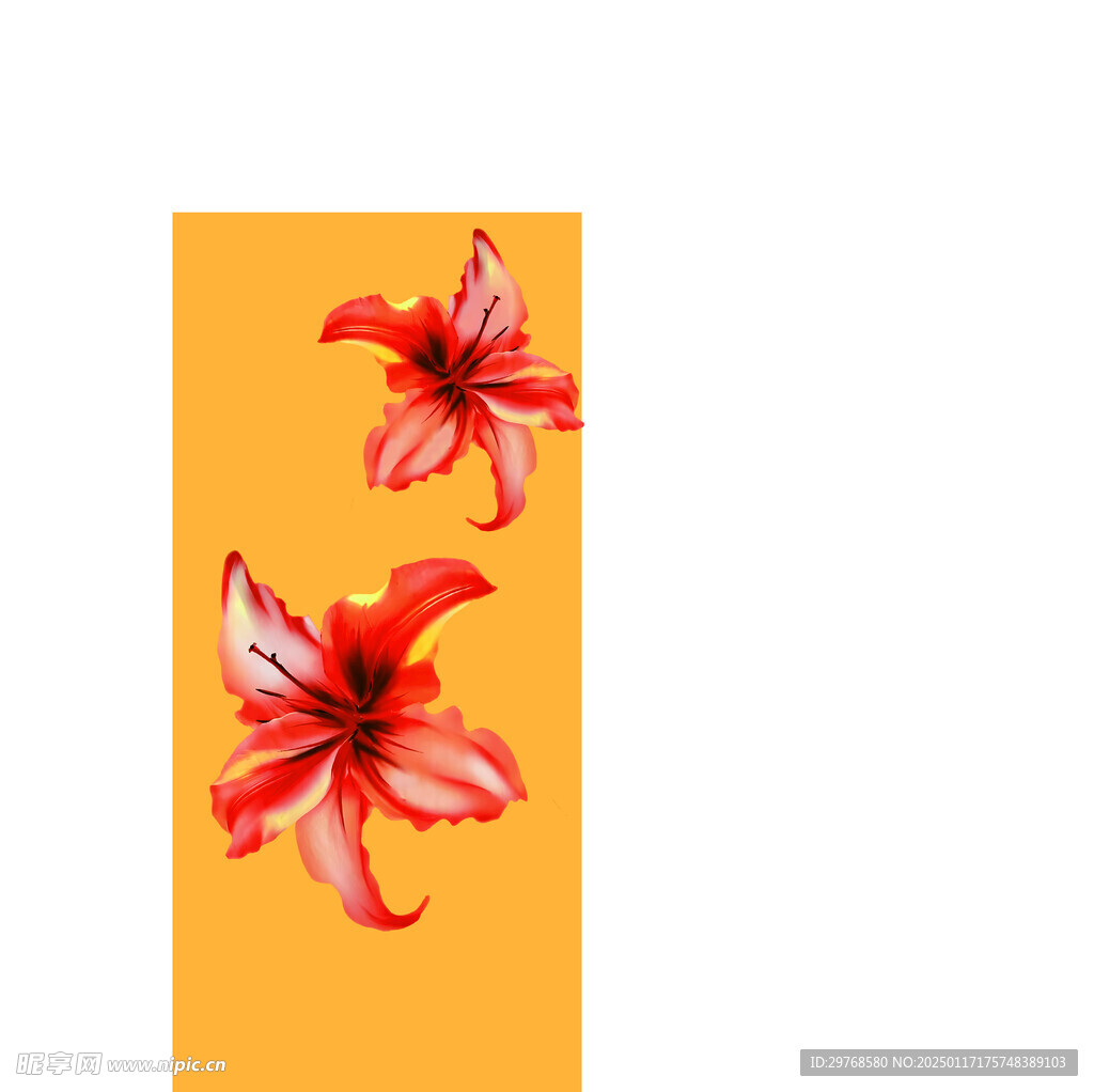 数码印花