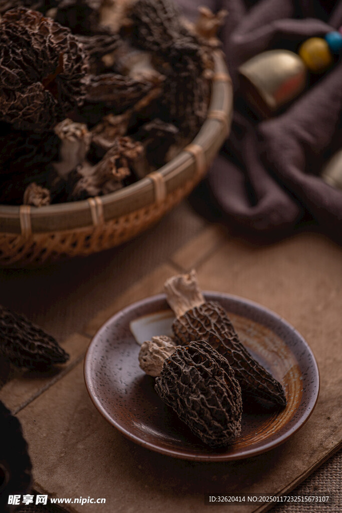 羊肚菌