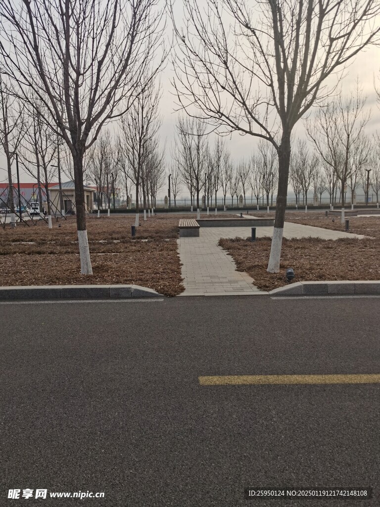 树杆