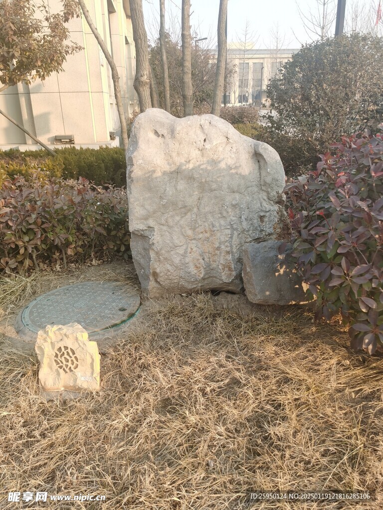 观赏石
