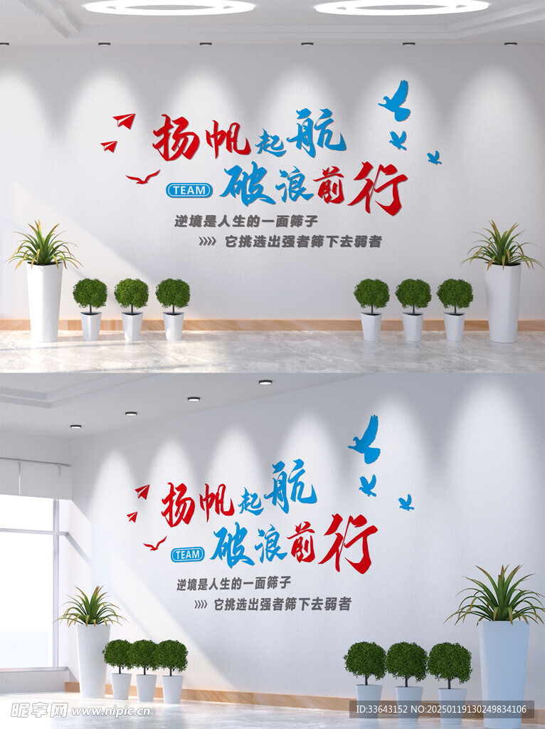 扬帆起航