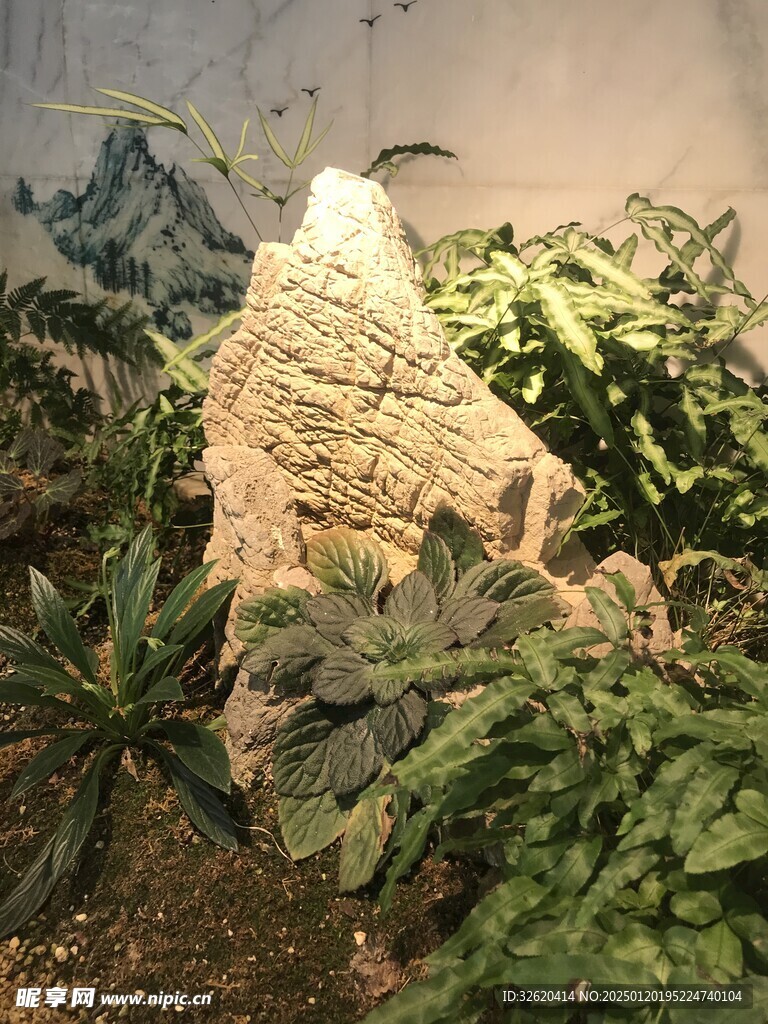 假山 植被