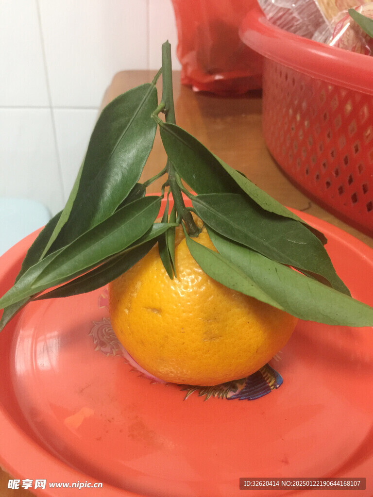 橙子