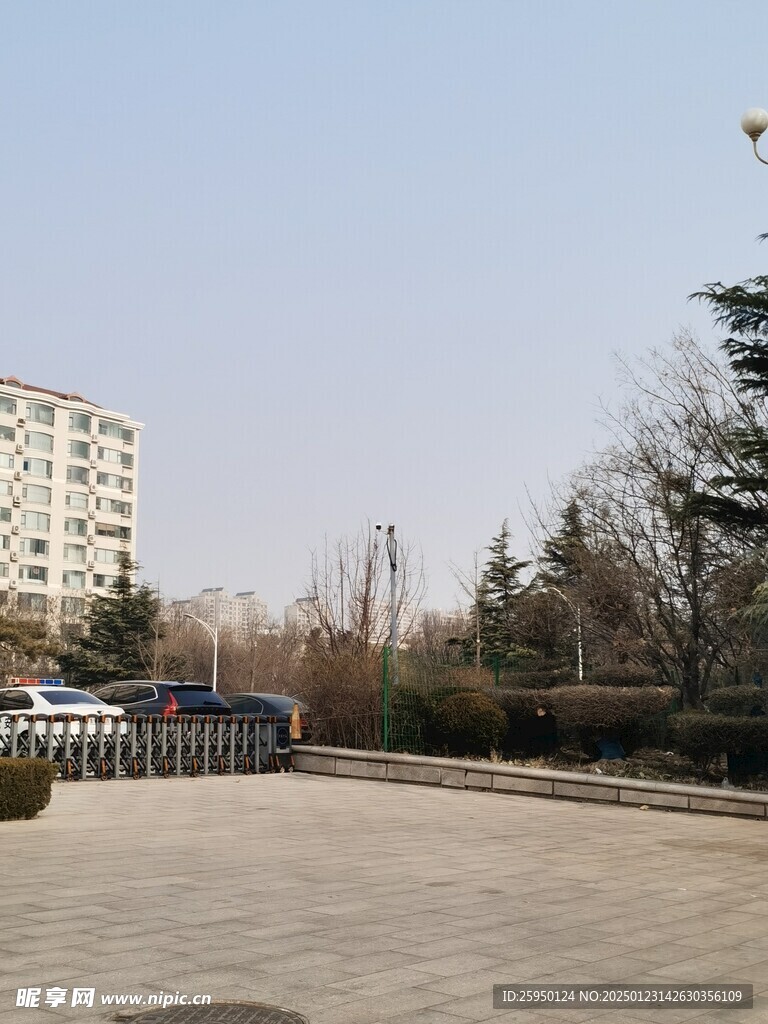 公园一角