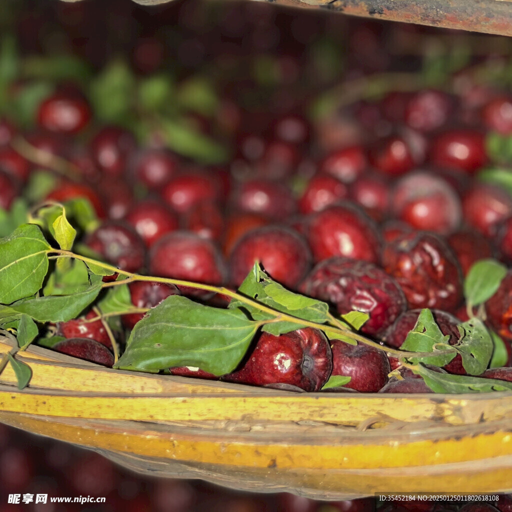 红枣
