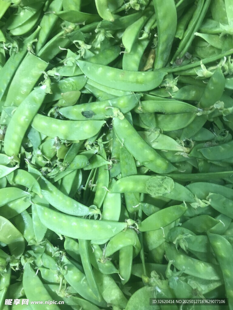 荷兰豆