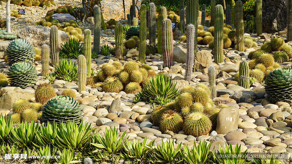  弥勒太平湖的石漠化公园