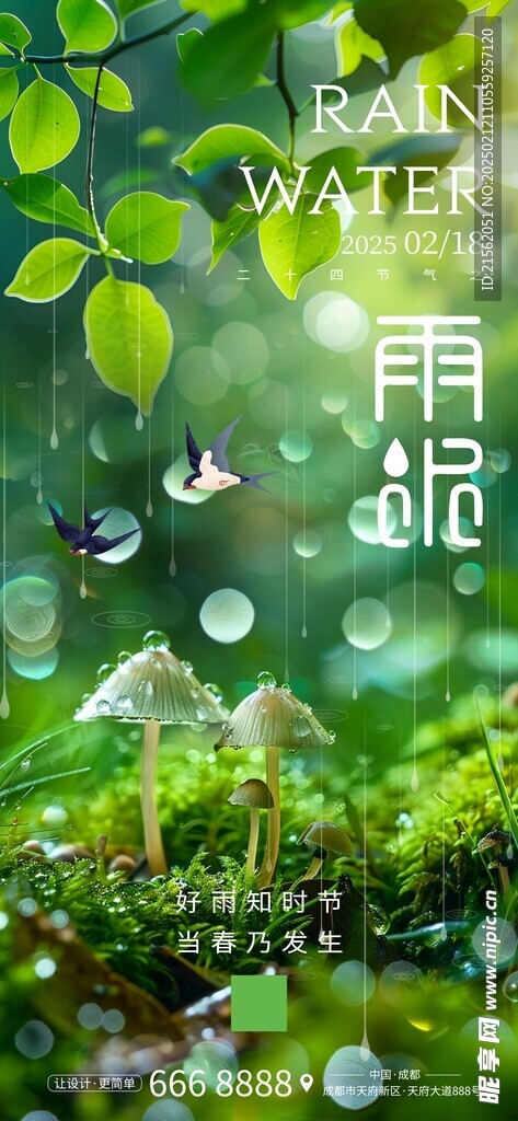 雨水