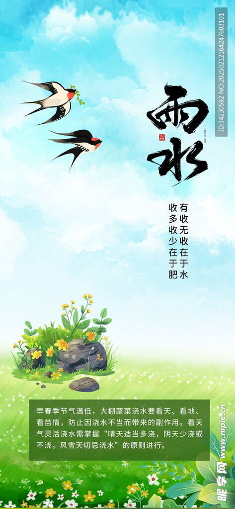 雨水