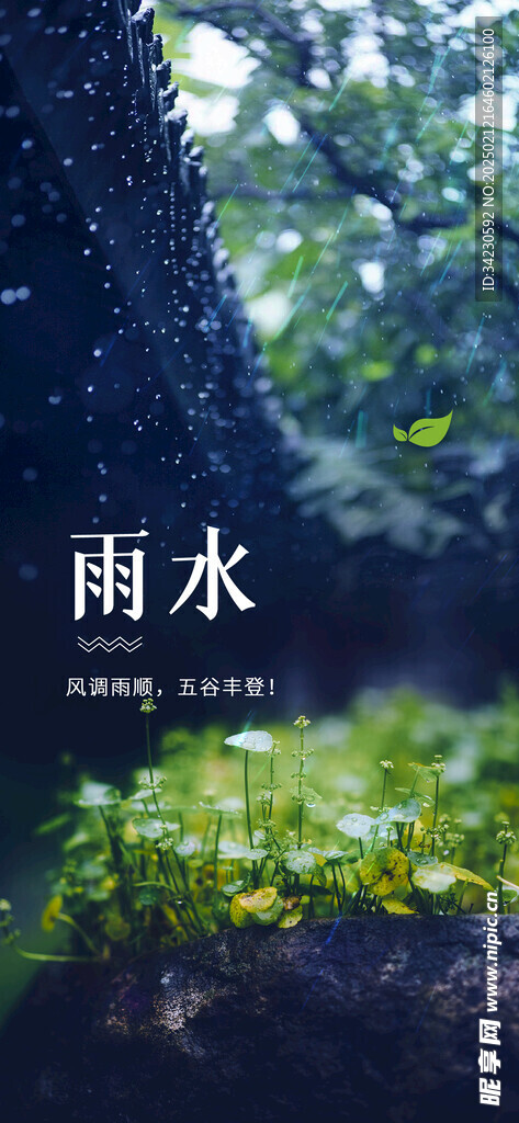 雨水