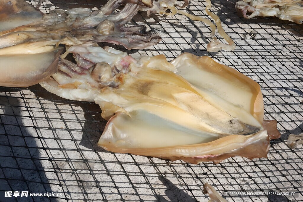 墨鱼干