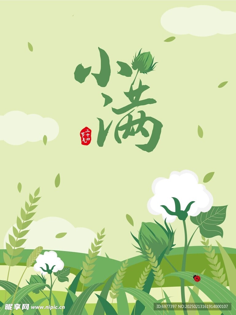 小满 二十四节气 棉花
