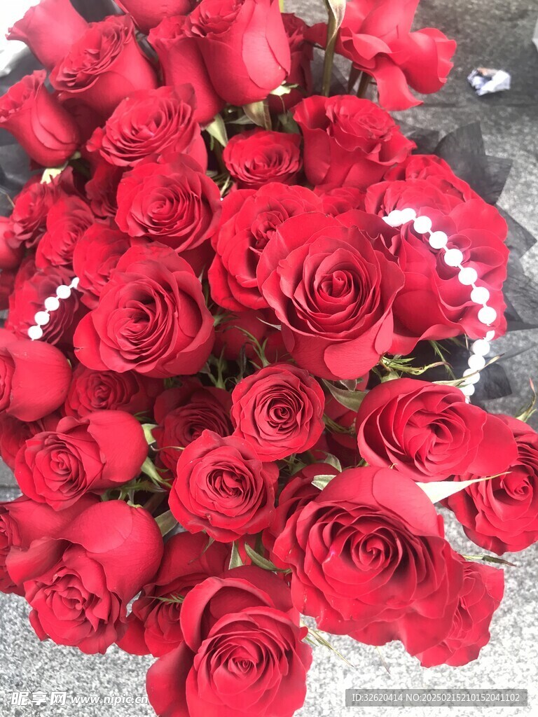 玫瑰花